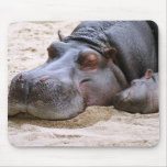 Hippo Mousepad