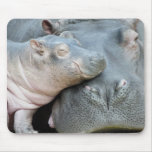 Hippo Mouse Mats