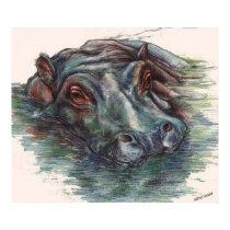 Hippo Painting Hippopotamus Portrait posters