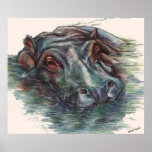 Hippo Painting Hippopotamus Portrait posters
