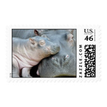 Hippo postage by Schwanitz Hippo postage