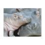 Hippo Postcard