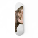 Hippo Skateboard Deck