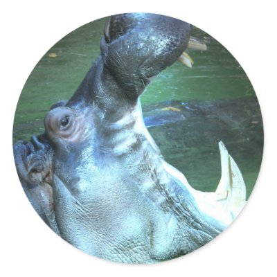 Hippo Sticker