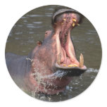 Hippo Sticker Hippo Sticker
