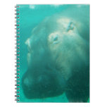 Hippo Under Water  Notebook