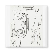 Hippocampal Formation magnet magnets