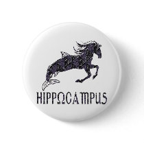 Hippocampus buttons