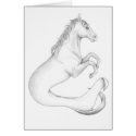 Hippocampus cards by NPLPanther Hippocampus cards