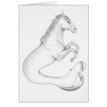 Hippocampus cards by NPLPanther Hippocampus cards