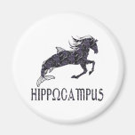 Hippocampus Magnets