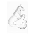Hippocampus print by NPLPanther Hippocampus print