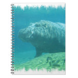 Hippopatumus Habitat Notebook