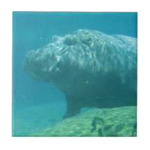 Hippopatumus Habitat Tile