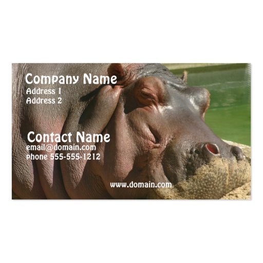 Hippopotamus Business Card