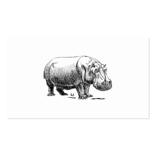 Hippopotamus Business Card Template (front side)