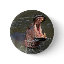 hippopotamus buttons