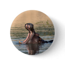 hippopotamus buttons
