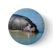 hippopotamus buttons