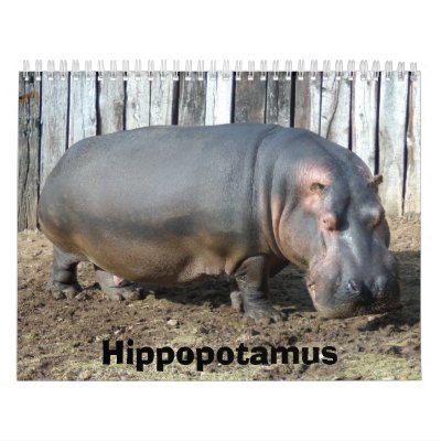 Hippopotamus Calendar, Hippopotamus Hippopotamus Calendar, Hippopotamus