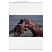 hippopotamus cards