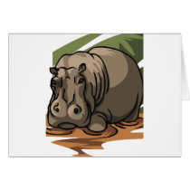 Hippopotamus cards