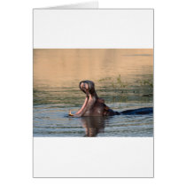 hippopotamus cards