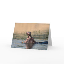 hippopotamus cards