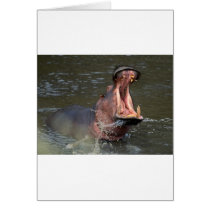 hippopotamus cards