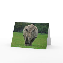 Hippopotamus greeting card
