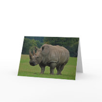 Hippopotamus greeting card