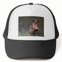 hippopotamus hats