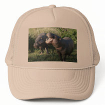 Hippopotamus Hat