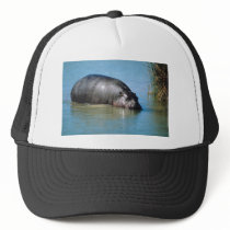 hippopotamus hats