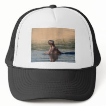 hippopotamus hats