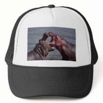 hippopotamus hats
