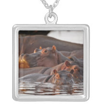Hippopotamus, Hippopotamus amphibius, Lake Necklace