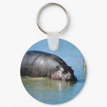 hippopotamus keychains