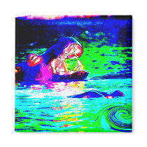 Hippopotamus magnets