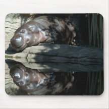 HIPPOPOTAMUS MIRROR REFLECTION SLEEPING MOUSEPAD