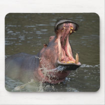 hippopotamus mousepads