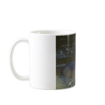 hippopotamus mugs
