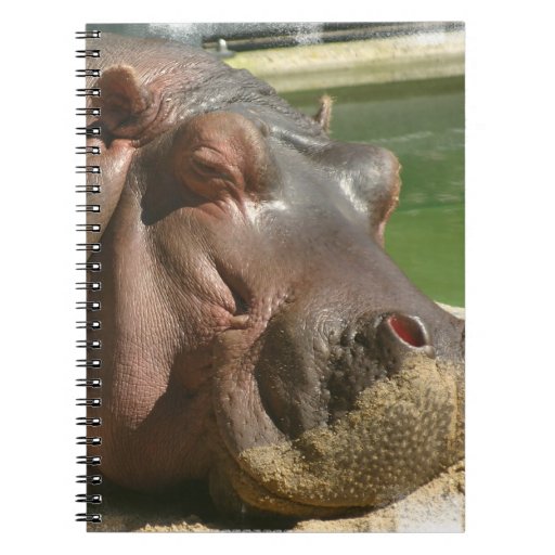 Hippopotamus Notebook