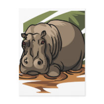 Hippopotamus postcards