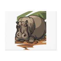 Hippopotamus postcards