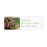 Hippopotamus Return Address Label