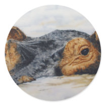 hippopotamus round stickers
