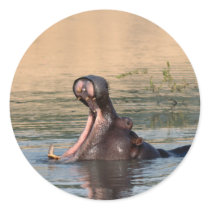 hippopotamus stickers