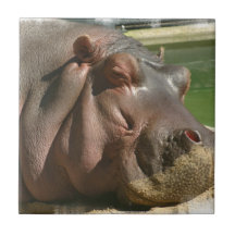 Hippopotamus Tile