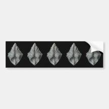 Hippopus Bumper Stickers